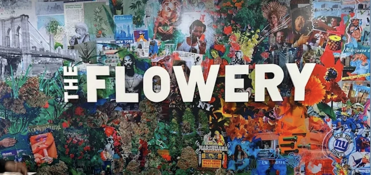 HOW TO CHOOSE PREMIUM CANNABIS IN HAVERSTRAW: A BUYER’S GUIDE TO FLOWER, TERPENES, AND OCM LAB TESTING